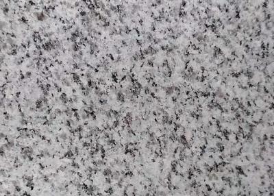 China G603 Granite Stone Tiles Padang Crystal Slab Low Radiation Stone Material for sale