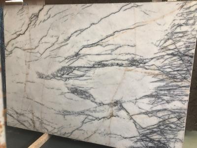 China Disorderly Lines Hoar Stone Slab Tiles Wall Floor White Marble With Gray Vein for sale