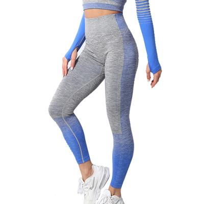 China Customized Breathable Quick Dry Woman Fitness High Waist Yoga Pants Large Size Multi Color Yoga Leggings Women Gaiters for sale