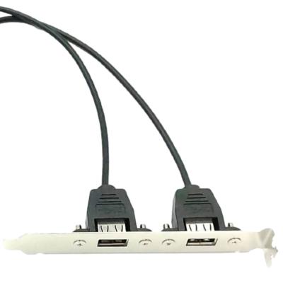 China COMPUTER 2 Ports USB 2.0 Female to 9 Pin sata power supply extension cable for PC for sale