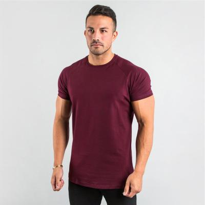 China New Arrival Men's Custom Logo T-shirt 95% Cotton 5% Gym Sportswear O-Neck Design Anti-Shrink Elastan Plain Sportswear For Men for sale