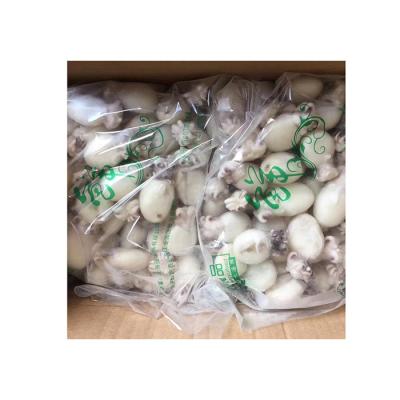 China Factory supply cheap cuttlefish tube FROZEN seafood tube best cuttlefish for sale