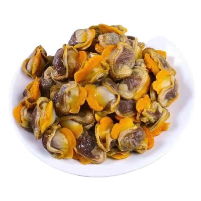 China FROZEN newly launched new-season high quality clam meat, high quality frozen clam meat for sale