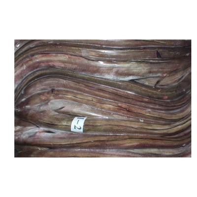 China High quality hot sale frozen seafood frozen food grade sea eel sea eel for sale