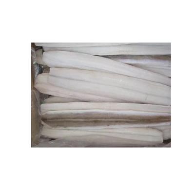 China Wholesale Low Price Sea Eel Fillet FROZEN Fresh Frozen Eel Sea Eel for sale