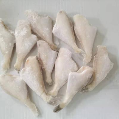 China FROZEN Classic and Yummy Freshness Shake Filefish Frozen and Long Lasting Filefish for sale