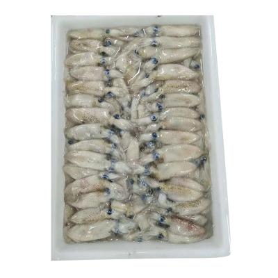 China Sell ​​Quality Organic Squid Seafood Squid Fresh Low Fat Squid Seafood at a Low Price for sale