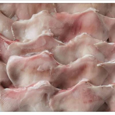 China Factory Wholesale FROZEN Stingray Wing Fillet Fresh Food Frozen Stingray Wing Fillet for sale