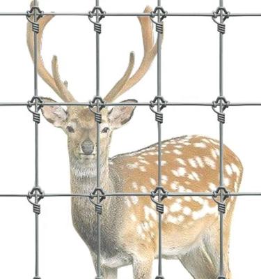 China Easily Assembled Deer Fence for sale