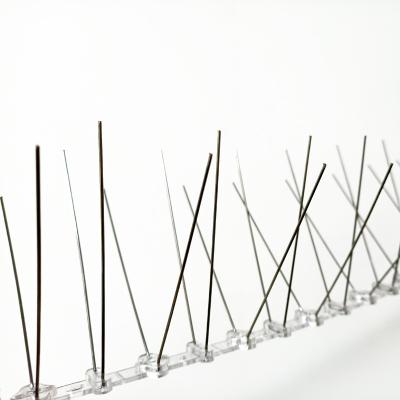 China Sustainable Reusable Stainless Steel Bird Spikes for sale