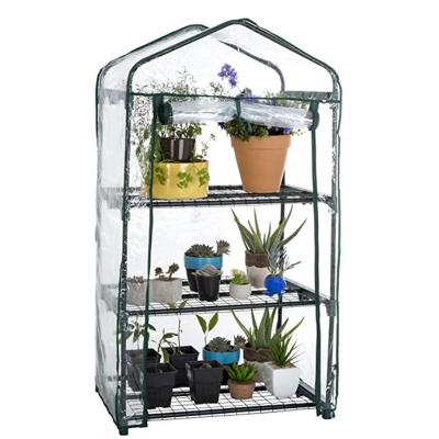 China Easily Assembled Portable Indoor Outdoor Garden Greenhouse Three Tier Rolled Zipper Door Assembled Flowers Planting Green House for sale