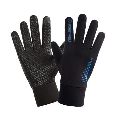 China TWILL Gloves Comfortable Warm Touch Screen Gloves Lightweight Winter Sports Gloves For Men And Women for sale