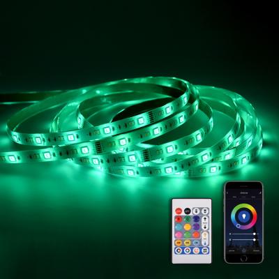 China Residential PCB Wifi Smart LED SMD RGBW Flexible Strip Light, IP65 Adjustable RGB CCT LED Strip Lights Waterproof with Key Controller for sale