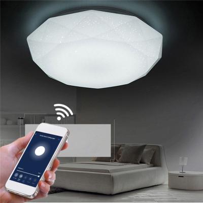 China Amazon Alexa Google Home IFTTT 36W Wifi Dimmable TDC Mount All Star Night Lamp Smart LED Remote Control Adjustable Outdoor Ceiling Light for sale