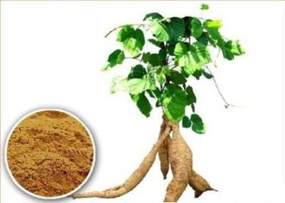 China Kudzu Extract 30% Puerarin for sale