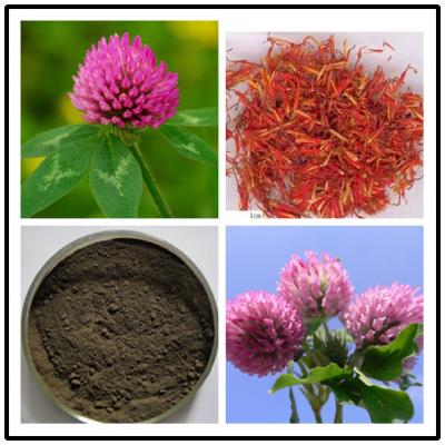 China Red Clover Extract,soflavones 8% 20% 40%,CAS No.:491-80-5 for sale