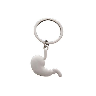 China Advertising/Promotion/Reading Gifts High Quality Key Chain Body Organ Shapes Cute Key Chains For Medical School And Hospital Gifts Key Holder for sale