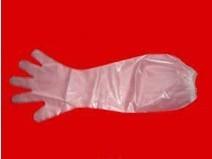 China Disposable PE Gloves for sale