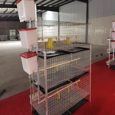 China Breathable Poultry Farm Equipment Poultry Baby Cage Square Cages Chicken Broiler Cage System For Cage Egg Layer Chickens for sale