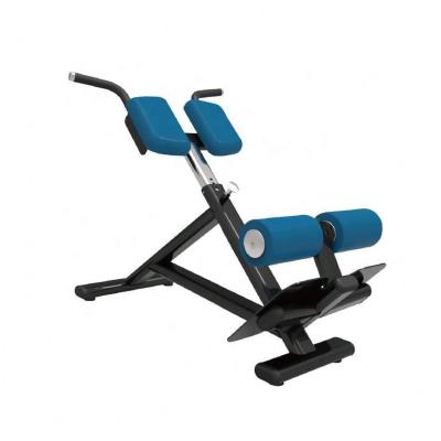 China Novelty Style Equipment Customized Gymnasium Eco-friendly Roman Chair Hyperextension Bench for sale