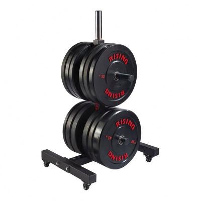 China Modern Gym Exercise Equipment Squat Plate Wall Mount Power Pulley Weight Rack for sale