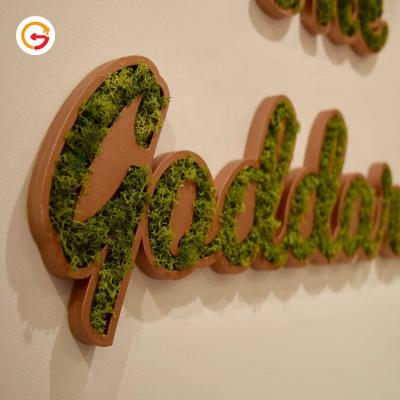 China Manufacturer Customized Custom Indoor Store Moss Sign Letter 3D Moss Signage Wall From JAGUARSIGN For Company for sale