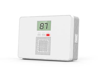 China Kitchen Visual Audible CO Alarm Detector Carbon Monoxide And Gas Detector for sale