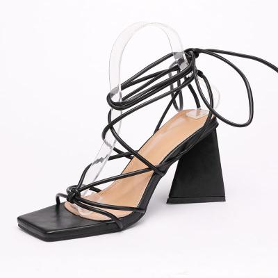 China Fashion Trend 2022 New Summer Fashion Trend Ankle Strap Square Toe High Chunky Heel Women's Sandals for sale