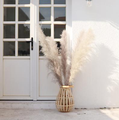 China Wedding Decoration Nature Flower Wholesale Dried Pampas Grass Dried Flowers for sale