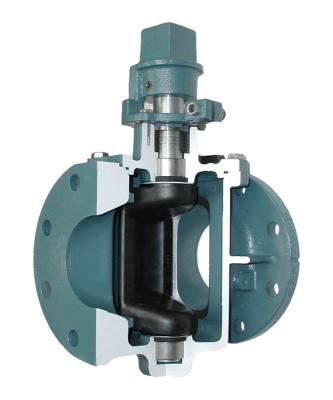 China KATA VALVE PLUB VALVE NPS 16