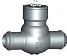 China KATA Valve API 6D Pressure Sealed Check Valve for sale