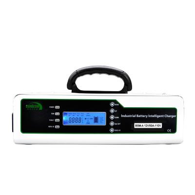 China 110VAC 500W Standard Portable Battery Charger EV Battery Car WIFI RS485 Shutdown Pulse Fast Charging Auto Battery Charger for sale