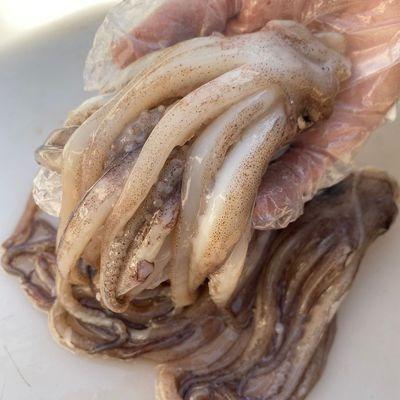 China Nutritious FROZEN High Quality Salable and High Quality Tentacles of Squid Factory Wholesale Nutritious and Delicious Being Sold from CN for sale