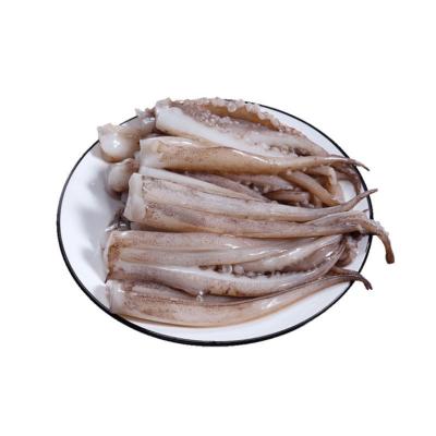 China Nutritious Fujian squid factory Hot products Seafood frozen tentacles of squid for sale