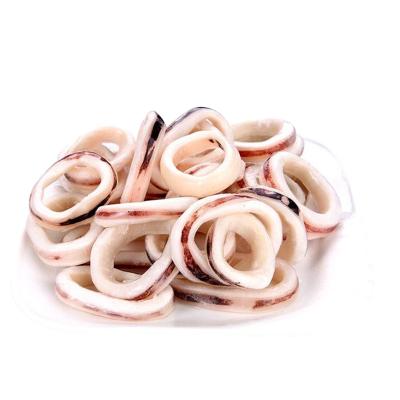 China High quality nutritious wholesale squid factory salegoods factory goods frozen squid ring nutritious seafood for sale