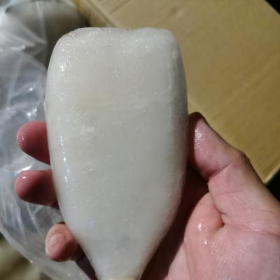 China High quality nutritious delicious seafood frozen squid factory for sale in wholesale price squid cube for sale