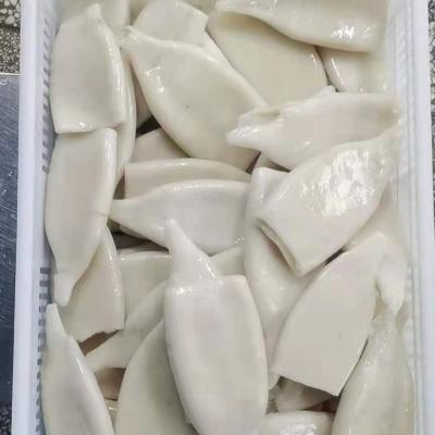 China NC nutrient; FUJ 10 Kg Customizable U3 U4 U5 U7 For Sale High Quality FROZEN Frozen Seafood Squid Factory Wholesale Outlet Tubes for sale