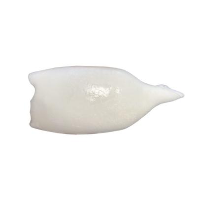 China Nutrient porcelain frozen giant gigas loligo illex squid tube with wing for sale