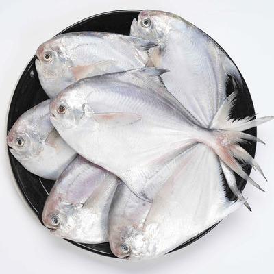 China Promotional Low-CARB Good Quality IQF Fresh Frozen Seafood Farming Fish Damselfish Pomegranates White Fishing Waters Preserved 10 Kg In Block for sale