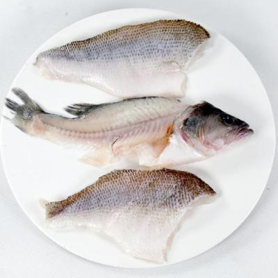 China High Quality Low-CARB Seafood, Frozen Fish Sea Perch Fillet Factory Wholesale Perch Fillets at Affordable Prices for sale