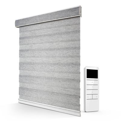 China Motorized Blackout Day And Night Motorized Zebra Shades Automatic Zebra Blinds en venta