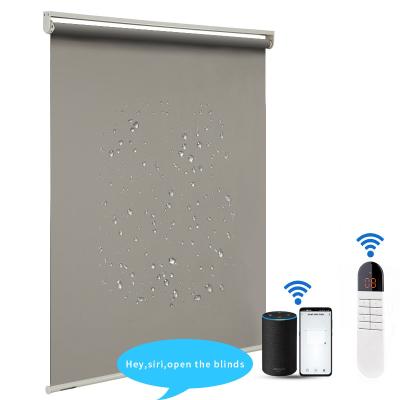 Китай Window Electric Roller Blinds  Wifi Motorized Side Installation продается