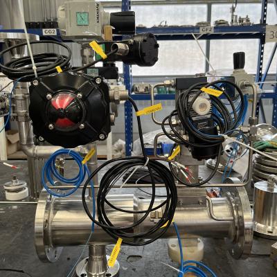 Chine Système de nettoyage du système 3A Pigging d'ANSI150 Pigging dans la canalisation à vendre