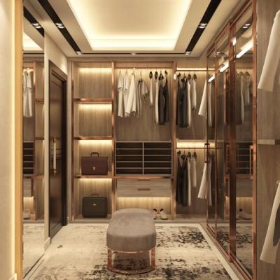 China (Others) 2021 Adjustable Modern Style Plywood Walk In Closet Bedroom Wardrobe for sale