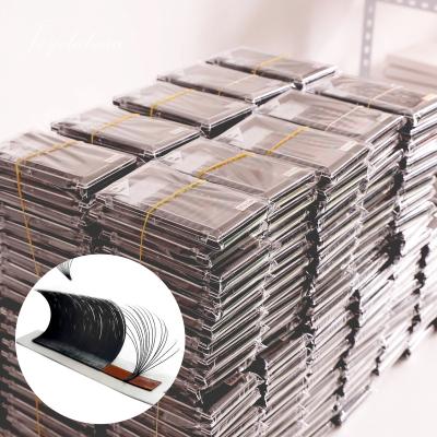 China Very Soft And Light Fan Mix 8-15mm Curl Thickness 0.05 D Volume Eyelash Extensions Fast Blooming Easy Volume Lashes Fan Easy Eyelash Extensions for sale