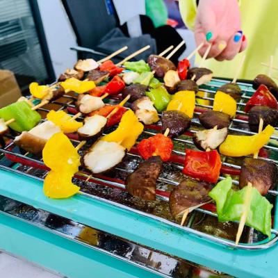 China Portable Home Adjustable Size 2 in 1 Multi Function Non-Stick Smokeless Electric BBQ Grill Electric Grill for sale