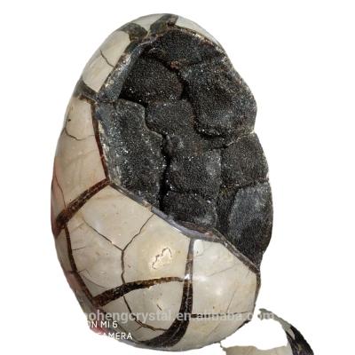 China China Natural Rock Septarian Crystal Geodes Turtle Stone Geodes For Sale for sale