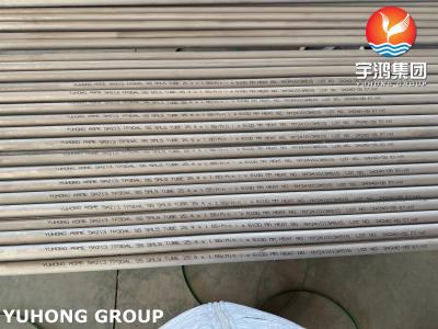 China Tubo sin costuras de acero inoxidable ASTM A269 TP316L para intercambiadores de calor y condensadores en venta