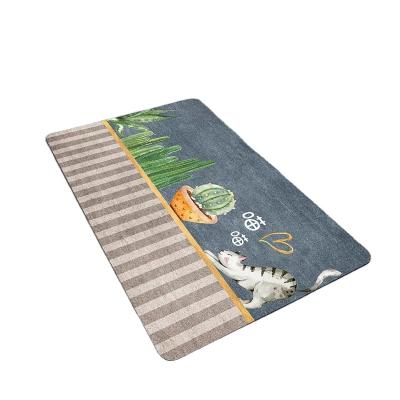 China Quick-Drying Foot Pad Diatomite Bath Mat For Bathroom Entryway Non-Slip Absorbent Mat Anti-Slip Mud Diatom Mat for sale