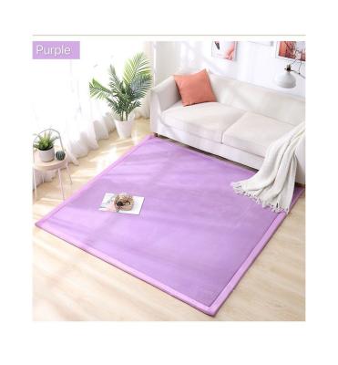 China Cozy Colorful Non-Slip Polyester Coral Velvet Floor Rug Tatami Of Super Soft Anti-Slip for sale